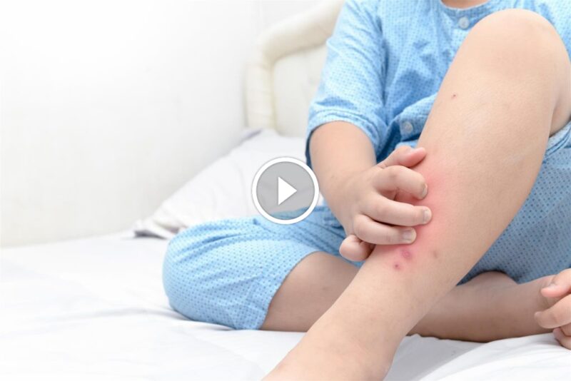 الضمان الشامل: كيف يؤثر ضمان الرضا التام على سمعة شركتك؟