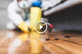 حل مشكلات العملاء: القوة الكامنة في ضمان استرداد المبلغ بالكامل