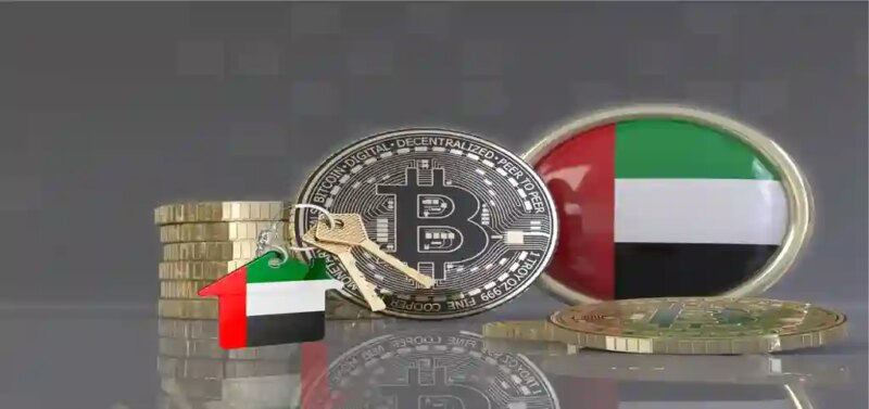 حماية البيانات والعقود: قانون الأعمال والمعاملات الرقمية في الإمارات