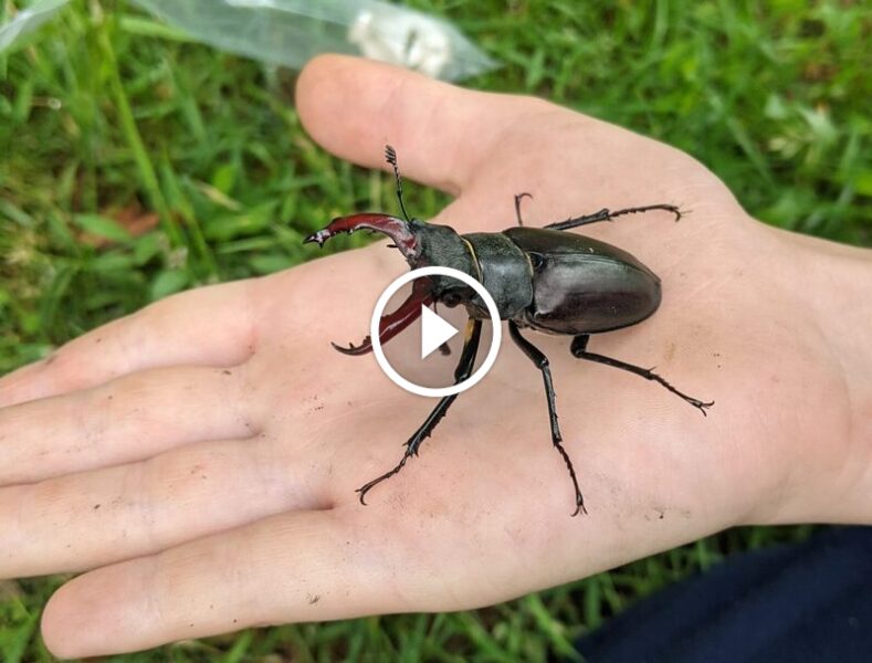 الشفافية والمسؤولية: بناء جسر ضمان استعادة الرضا التام