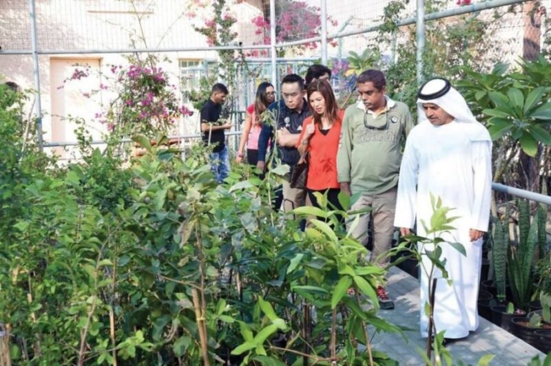 كنوز الإمارات الخضراء: استكشاف مشاريع الزراعة المستدامة
