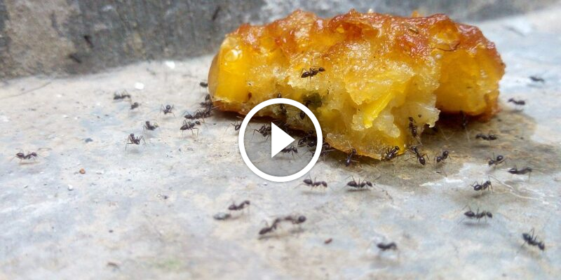 تحقيق الرضا التام: دليل شامل للخدمات الحديثة والعملاء