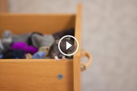 مستقبل الخدمات: الشفافية وقوة ضمانات استرداد الأموال