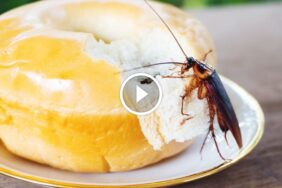 تعزيز الثقة: قوة ضمان استرداد المبلغ كاملاً في قطاع الخدمات