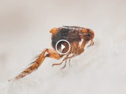 دليل المجد الإماراتية لضمان استرداد المبلغ وراحة العميل