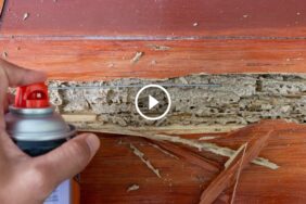 استراتيجيات حديثة لـ علاج النمل الأبيض وضمان سلامة الممتلكات