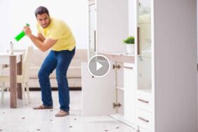 عيش بلا حشرات: مكافحة حشرات المنزل الطبيعية بأمان تام