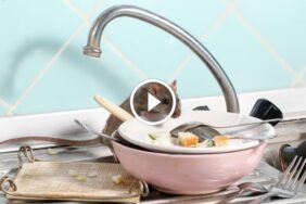 من القضم إلى التسمم: كل ما تحتاج معرفته عن مخاطر الفئران المنزلية