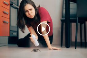 الرضا التام واسترداد الأموال: ضمان حقوقك بالكامل