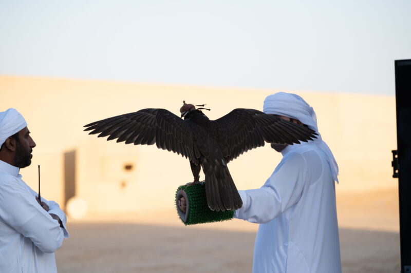 كأس الإمارات العالمي لسباقات الصقور: تطوير رياضة الصقور نحو العالمية