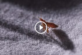 لماذا أصبح ضمان استعادة الأموال ضرورة لا غنى عنها للنجاح؟