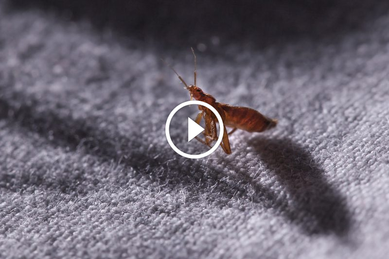 لماذا أصبح ضمان استعادة الأموال ضرورة لا غنى عنها للنجاح؟