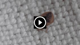 ضمان جودة الخدمات: التزامنا برضاك مع استرداد المبلغ كاملاً