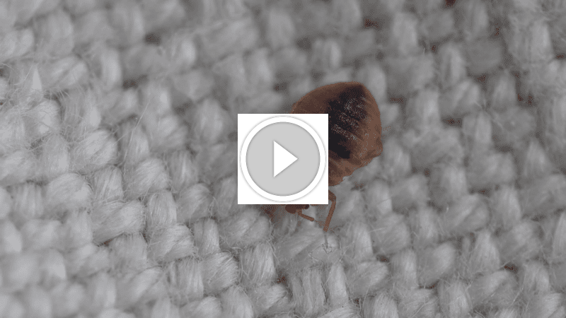 ضمان جودة الخدمات: التزامنا برضاك مع استرداد المبلغ كاملاً