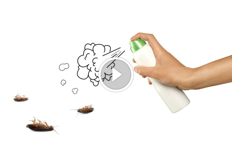 فهم آلية عمل ضمان استعادة الرسوم في قطاع الخدمات