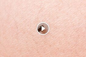 فهم فعالية الديتول ضد البراغيث للحفاظ على منزل نظيف