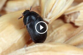 معايير المجد: ضمان الرضا التام وجودة الخدمات الفائقة