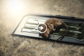 مستقبل الخدمات يعتمد على ضمان استرداد المبلغ كمعيار