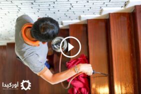 التهديد الصامت: كل ما تحتاج لمعرفته حول مكافحة حشرة الأرضة