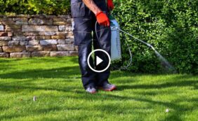 بناء حديقة قوية: استراتيجيات وقائية لـ مكافحة الآفات في الحدائق