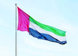 منهجية واضحة: الريادة البحرية الإماراتية ودعم التجارة العالمية