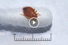 التميز الخدمي: مفتاحك لـ ضمان رضا العملاء الدائم